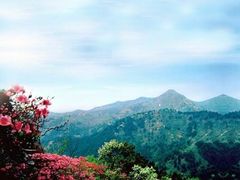 -木兰云雾山