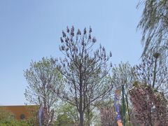 -北戴河圣蓝海洋公园