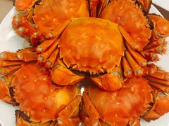 -王宝和酒家(黄浦店)