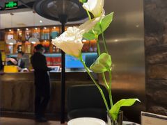 -三强鸽子(胜利路店)