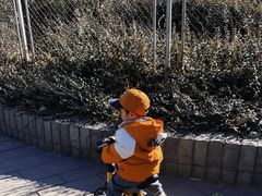 -丰台花园