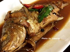 野生大黄翅鱼-临家闽南菜(大唐店)
