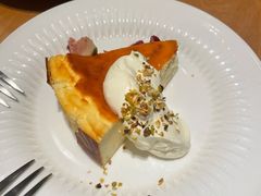 -O'eat Blossom&Pelican(深圳首店)