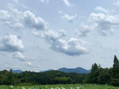 -清漾毛氏文化村