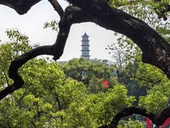 -江心屿景区