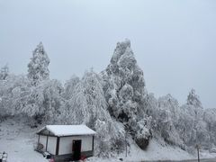 -峨眉山风景名胜区