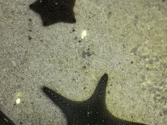 -小菜园新徽菜(溧阳万达店)