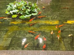 -惠食佳(滨江大公馆店)