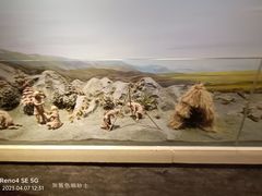 -王府井古人类文化遗址博物馆