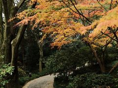 -中国茶叶博物馆(双峰馆区)