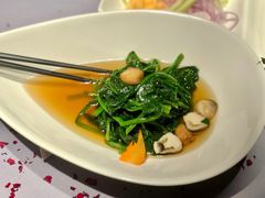 上汤菠菜-梧桐北京烤鸭·铜锅涮肉(海岸城店)