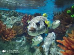 -福州罗源湾海洋世界旅游区