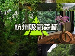 -午潮山国家森林公园