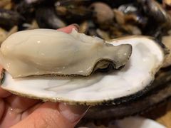 -滨海小渔村·海肠捞饭·鲅鱼水饺·特色老火鱼丸汤(华田店)