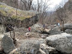 -北京植物园-展览温室