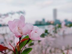 -龙美术馆(西岸馆)