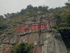 -铁山坪森林公园