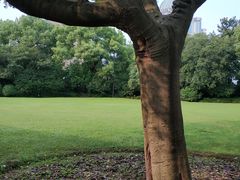 -Patek Philippe百达翡丽(上海源邸店)