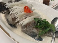 -金轩中餐厅 Jin Xuan(浦东丽思卡尔顿酒店)