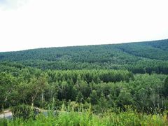 -塞罕坝国家级自然保护区