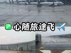 -青岛胶东国际机场