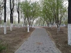 -大兴滨河森林公园