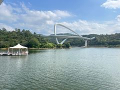 -天目湖山水园