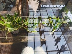 -小巷餐厅(五大街店)