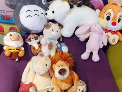 -PAWTOY爪e玩偶店(天兴罗斯福店)