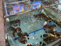 -渔民新村(番禺总店)