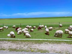 -青海湖国家重点风景名胜区