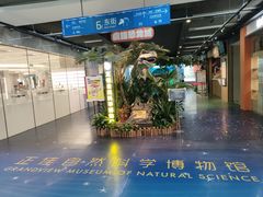 -正佳自然科学博物馆