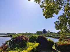 -上海海湾国家森林公园