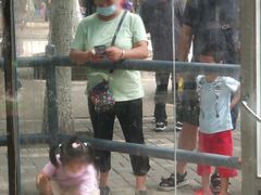 -长白岛森林公园