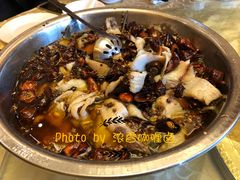 翠云水煮鱼-翠云水煮鱼(双龙大道店)