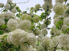 -大龙山(地铁站)