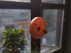 生烤鸡蛋-北三老太太烧烤(人生一串上榜店)