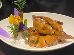 樟茶乳鸽-陈麻婆豆腐总店