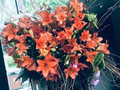 -上海鲜花港