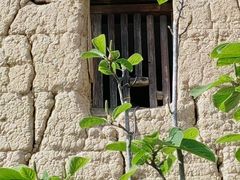 -福建土楼(南靖)景区