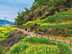 -新安江山水画廊风景区