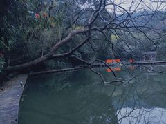 -广州市白云山风景名胜区