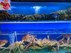 -船梆煮•蒸汽海鲜·炉火烤肉(五四广场店)