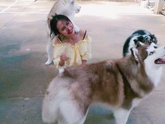 -TrueLove @ Neverland (Husky Cafe)
