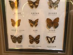 -蝴蝶泉公园
