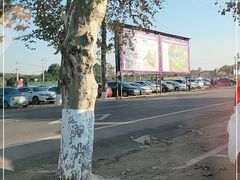 -武汉紫薇都市田园