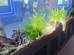 -中国农业博物馆