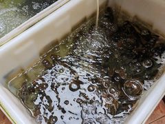 -稻香村鱼庄