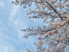 -龙美术馆(西岸馆)