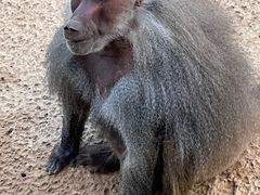 -杭州野生动物世界